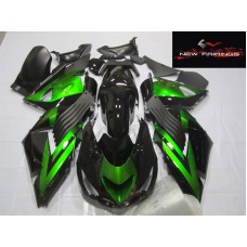 06-11 KAWASAKI ZX14R CUSTOM Fairing Kit